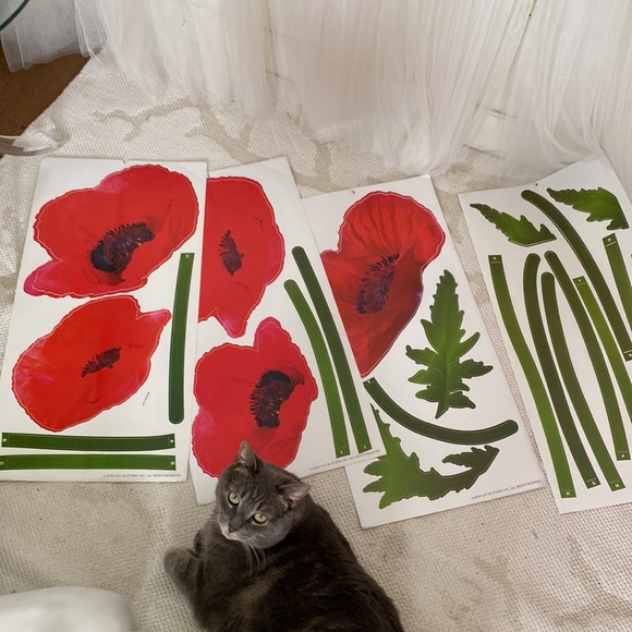 Adhesive Wall Art - Picture 1 of 10